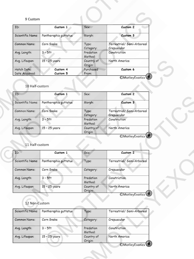 Ball/ Royal Python python Regius Laminated Enclosure Label | Etsy