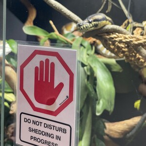 Warning Signs for Terrarium /Vivarium -Laminated Tarantula, Reptile, Snake, Lizard, Gecko, Snail, Invertebrate, Ants, Spider, Exotic Pets 10 Not Disturb Shed