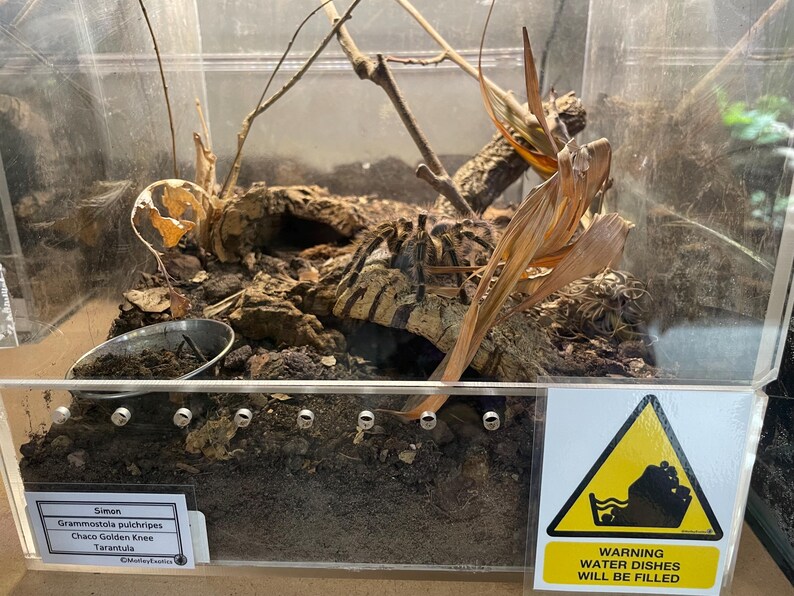 Warning Signs for Terrarium /Vivarium -Laminated Tarantula, Reptile, Snake, Lizard, Gecko, Snail, Invertebrate, Ants, Spider, Exotic Pets 9 Water Dishes Fill