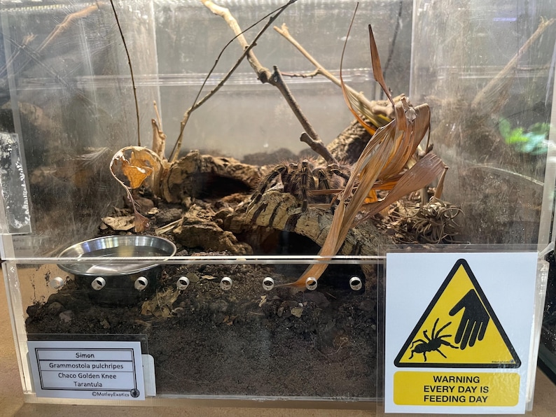 Warning Signs for Terrarium /Vivarium -Laminated Tarantula, Reptile, Snake, Lizard, Gecko, Snail, Invertebrate, Ants, Spider, Exotic Pets image 5