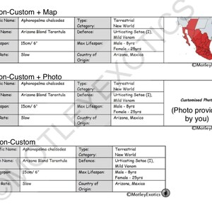 Megaphobema robustum Colombian Giant Redleg Tarantula Laminated Enclosure Label Exotic Pet Informative Customisable image 5