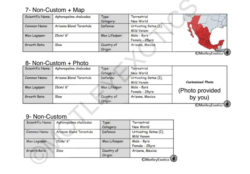 Megaphobema robustum Colombian Giant Redleg Tarantula Laminated Enclosure Label Exotic Pet Informative Customisable image 5