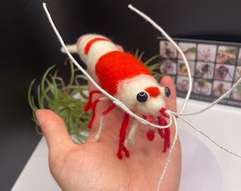Crystal Red Shrimp realistic sculpture- handmade by needle-felting