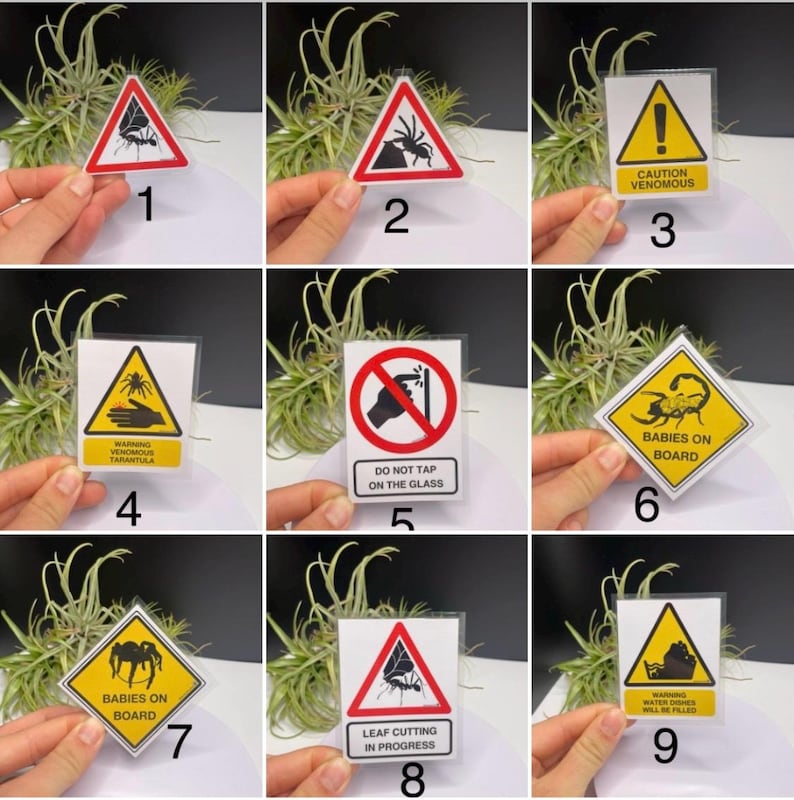 Warning Signs for Terrarium /Vivarium -Laminated Tarantula, Reptile, Snake, Lizard, Gecko, Snail, Invertebrate, Ants, Spider, Exotic Pets image 2