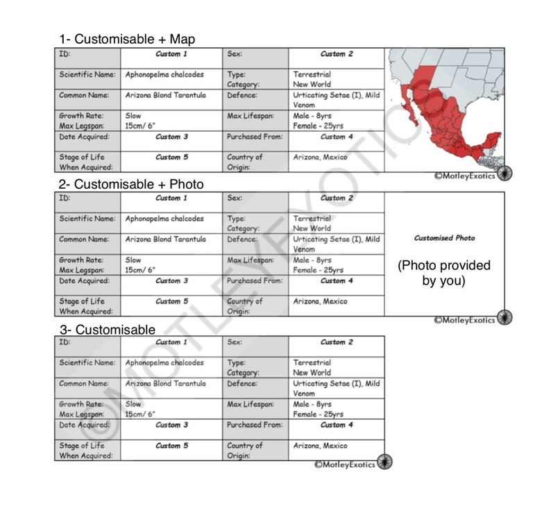 Megaphobema robustum Colombian Giant Redleg Tarantula Laminated Enclosure Label Exotic Pet Informative Customisable image 3