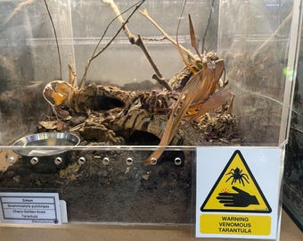 Warning Signs for Terrarium /Vivarium -Laminated Tarantula, Reptile, Snake, Lizard, Gecko, Snail, Invertebrate, Ants, Spider, Exotic Pets