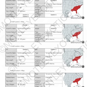 May include: A table with information about the corn snake, Pantherophis guttatus, including its scientific name, common name, average length, average lifespan, type, category, predation method, country of origin, and a map of the United States showing the snake's distribution.