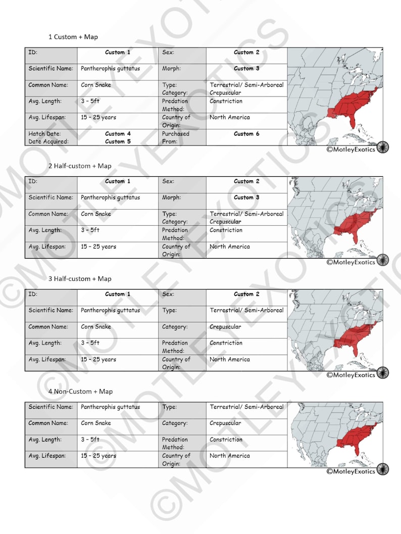 May include: A table with information about the corn snake, Pantherophis guttatus, including its scientific name, common name, average length, average lifespan, type, category, predation method, country of origin, and a map of the United States showing the snake's distribution.