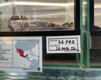 Vivarium Label With Event Record Laminated Enclosure Label Exotic Pet Invertebrate Customisable Spider Scorpion Mantis Snake Gecko Lizard