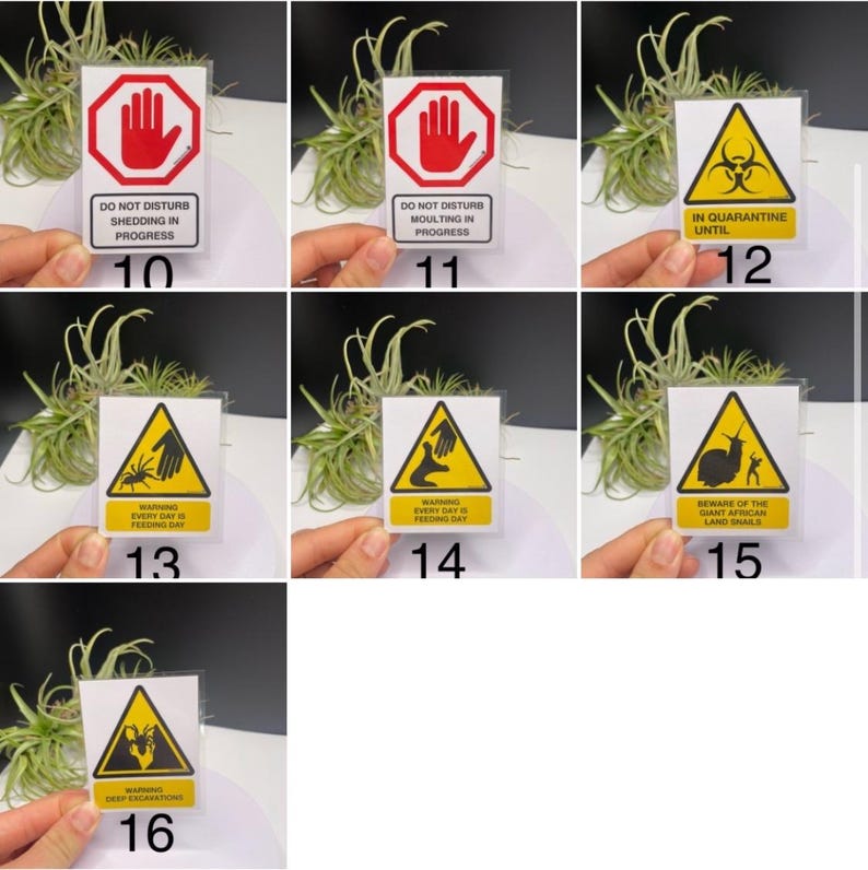 Warning Signs for Terrarium /Vivarium -Laminated Tarantula, Reptile, Snake, Lizard, Gecko, Snail, Invertebrate, Ants, Spider, Exotic Pets image 3