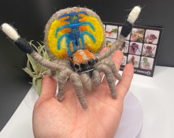 Peacock Jumping Spider Handmade Sculpture Education tool
