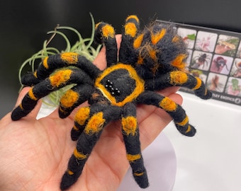 Made To Order Mexican Red Knee Tarantula sculpture Handmade Desk pet