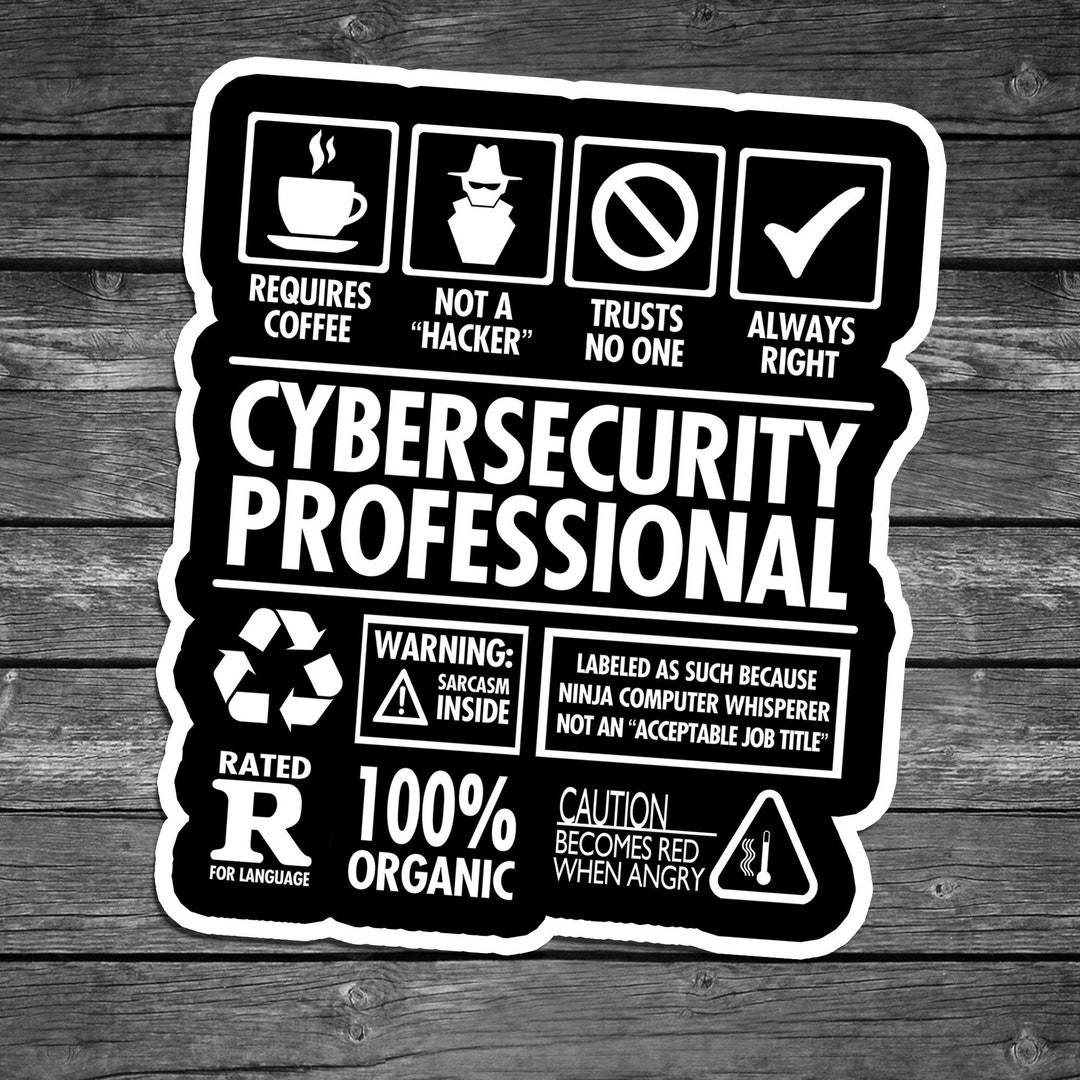 Cybersecurity Professional 