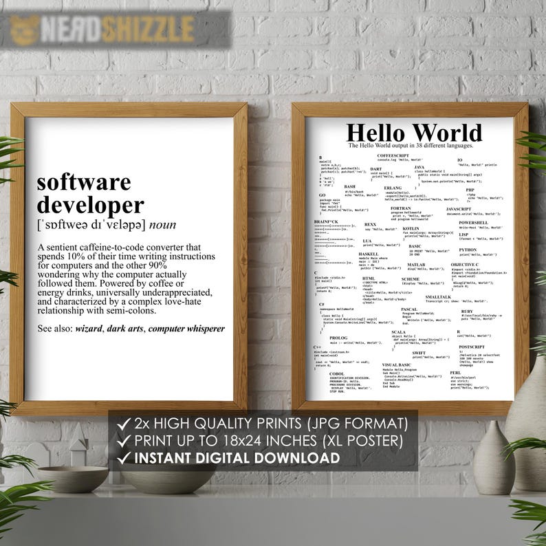 software engineer poster