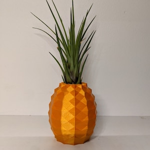 Puede incluir: Un pequeño macetero de piña naranja con una planta de aire verde creciendo dentro.