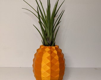 Maceta de aire de piña
