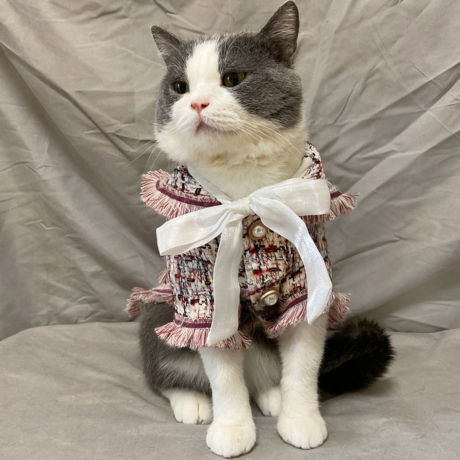 Pet clothes Designer dog coat Fashion & Stylish dog clothes Etsy