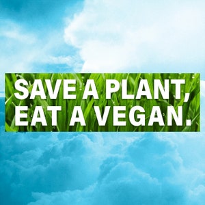 Save A Plant, Eat A Vegan Funny Bumper Sticker