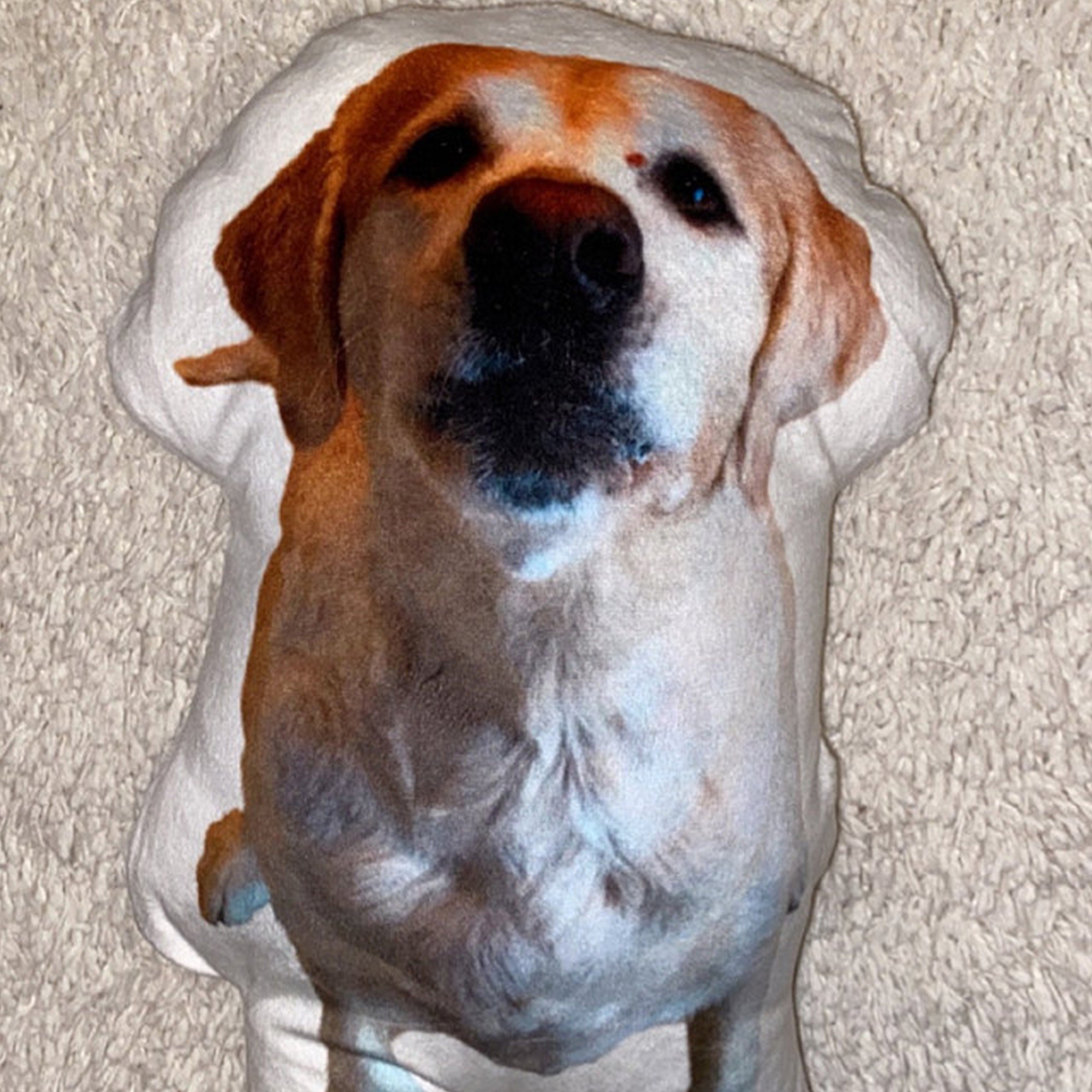 Photo Pet Pillow Stuffed With Cotton Doublesided Printing Etsy