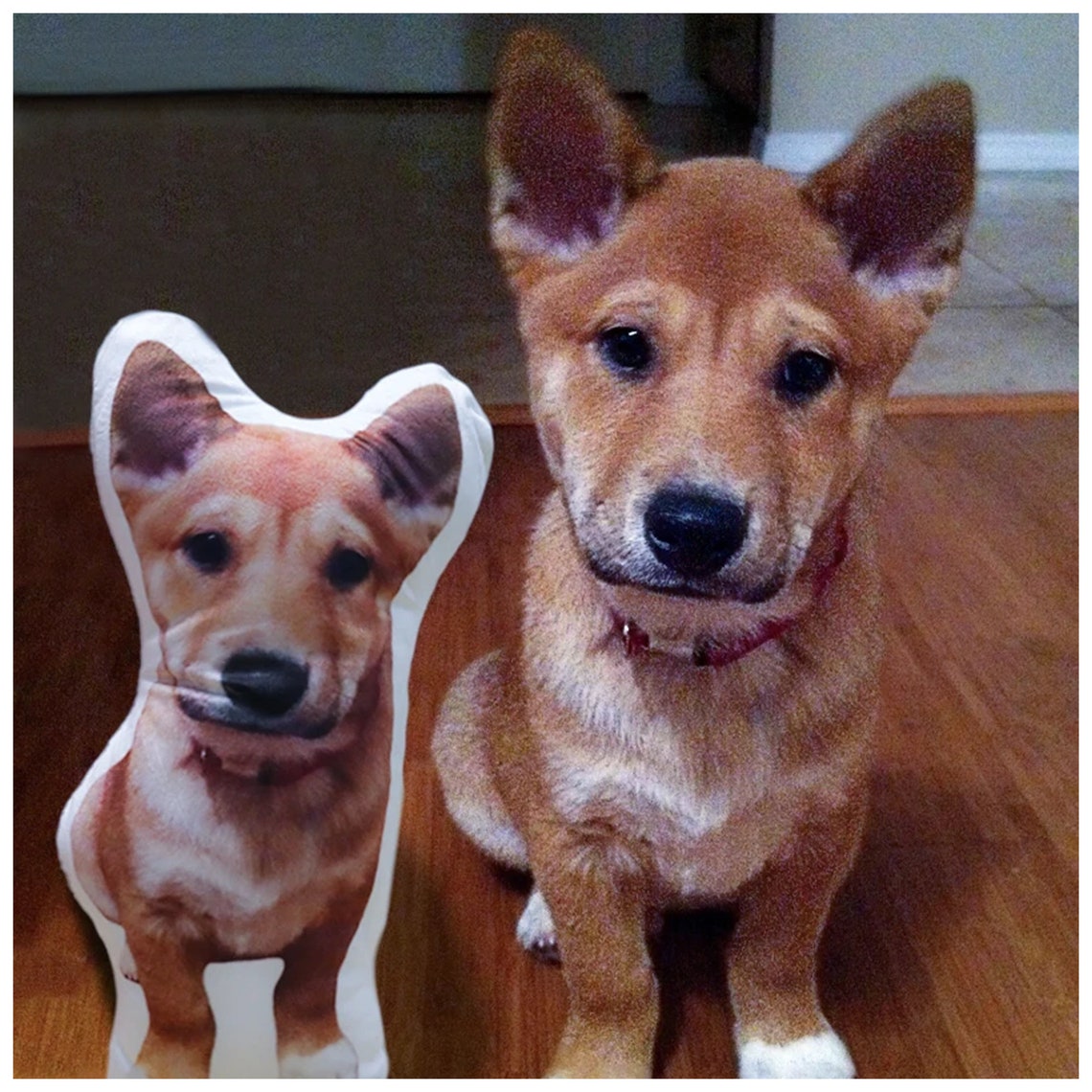 Animal Cojin Forma Perro Almohada De Perro 3d Almohada En Forma De