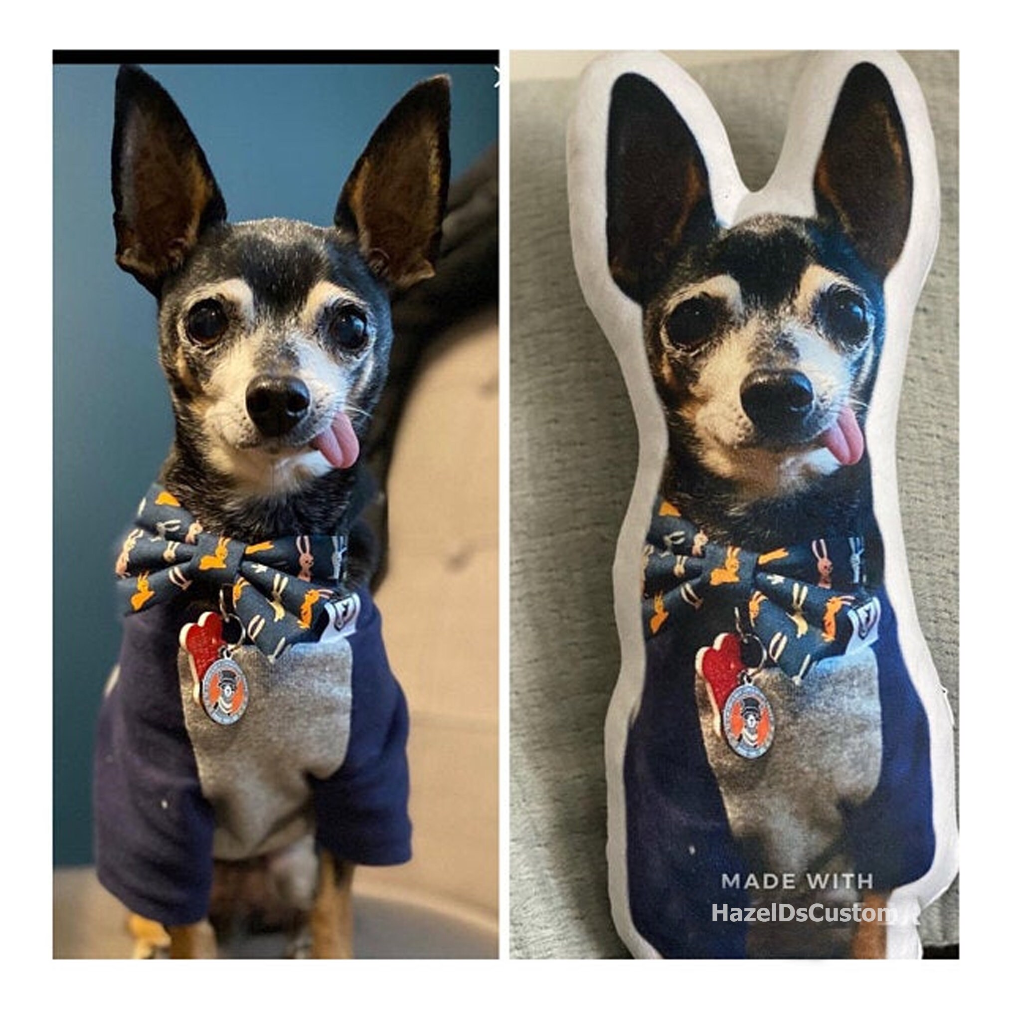 Photo Pet Pillow Stuffed With Cotton Doublesided Printing Etsy