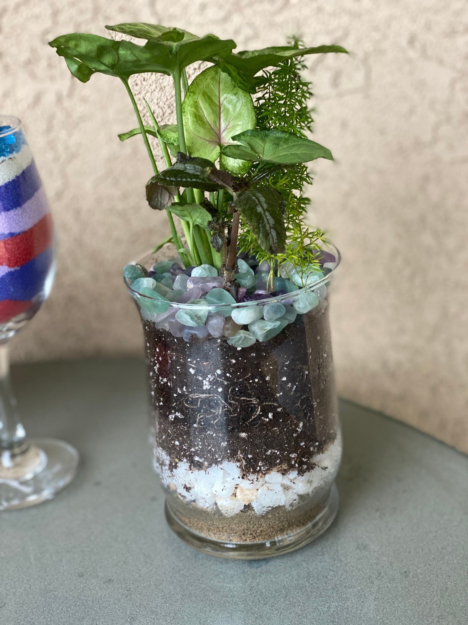 Glass planter with live house plants Etsy