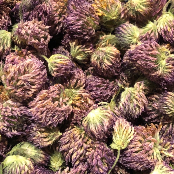 Red Clover Flower Buds, Dried Organic