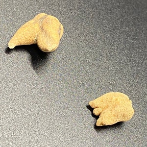 Lucky Hand Root Pair