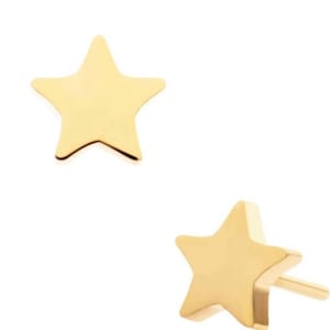24KT goud PVD titanium zonder draad met steroorbel | gouden steroorbel | neuspiercing | voorwaartse helixpiercing | sierlijke lichaamssieraden