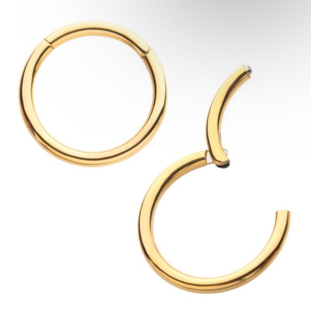 Titanium or Gold Hinged Segment Clicker Silver Ring Gold Ring 20g Ring