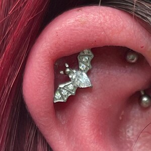 Titanium Internally Threaded Fly Bat Earring | Bat Earrings | Halloween ...