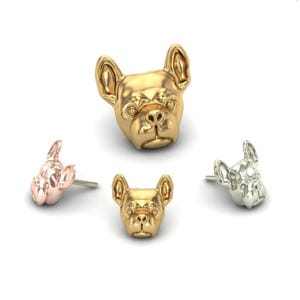 14kt gold dog earring | humming bird jewelry | conch piercing | helix piercing | tragus piercing | hummingbird piercing
