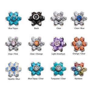 Titanium Internally Threaded with Prong Set 7 CZ Flower Top | flower earring | cute earring | internally threaded earring | pride jewelry