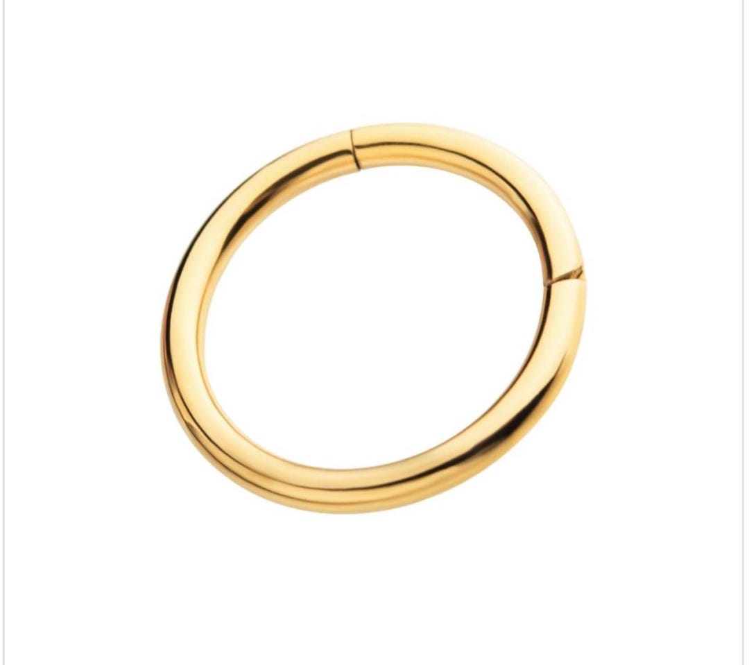 Titanium or 24kt Hinged Segment Clicker | Nose Hoop | Lip Piercing ...