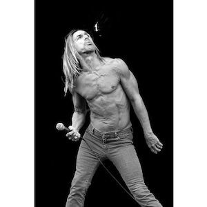 Iggy Pop Photo Print, Punk Rock Print, Iggy and the Stooges, Original black & white print signed by Photographer