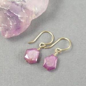 Hexagonal Ruby Earrings | 14/20 Gold Fill Ear Wires | Asterism Gemstone (18x8mm) | ER129
