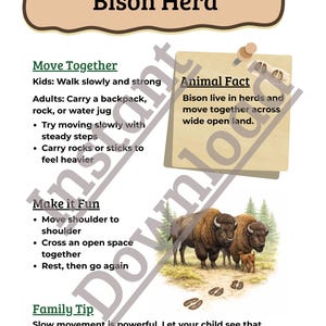 May include: A poster titled "Bison Herd" with text about bison behavior and family activities. It includes an illustration of bison in a field, footprints, and text that reads "Nature Moves &copy; 2026".