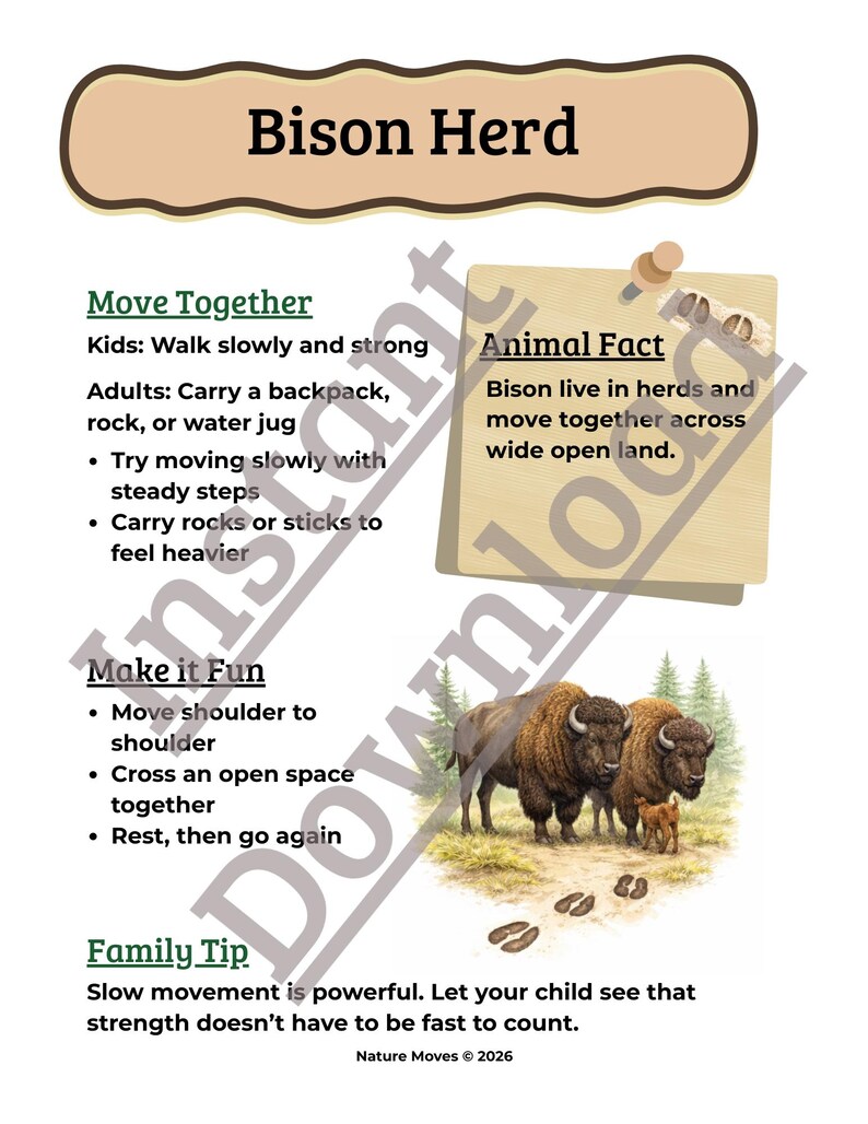 May include: A poster titled "Bison Herd" with text about bison behavior and family activities. It includes an illustration of bison in a field, footprints, and text that reads "Nature Moves &copy; 2026".