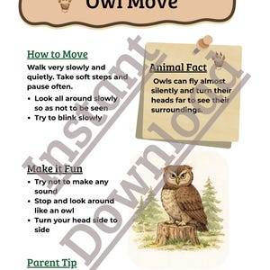 May include: A white educational poster titled "Owl Move" with instructions on how to move quietly and slowly. Includes an illustration of an owl on a tree stump, and an "Animal Fact" about owls.