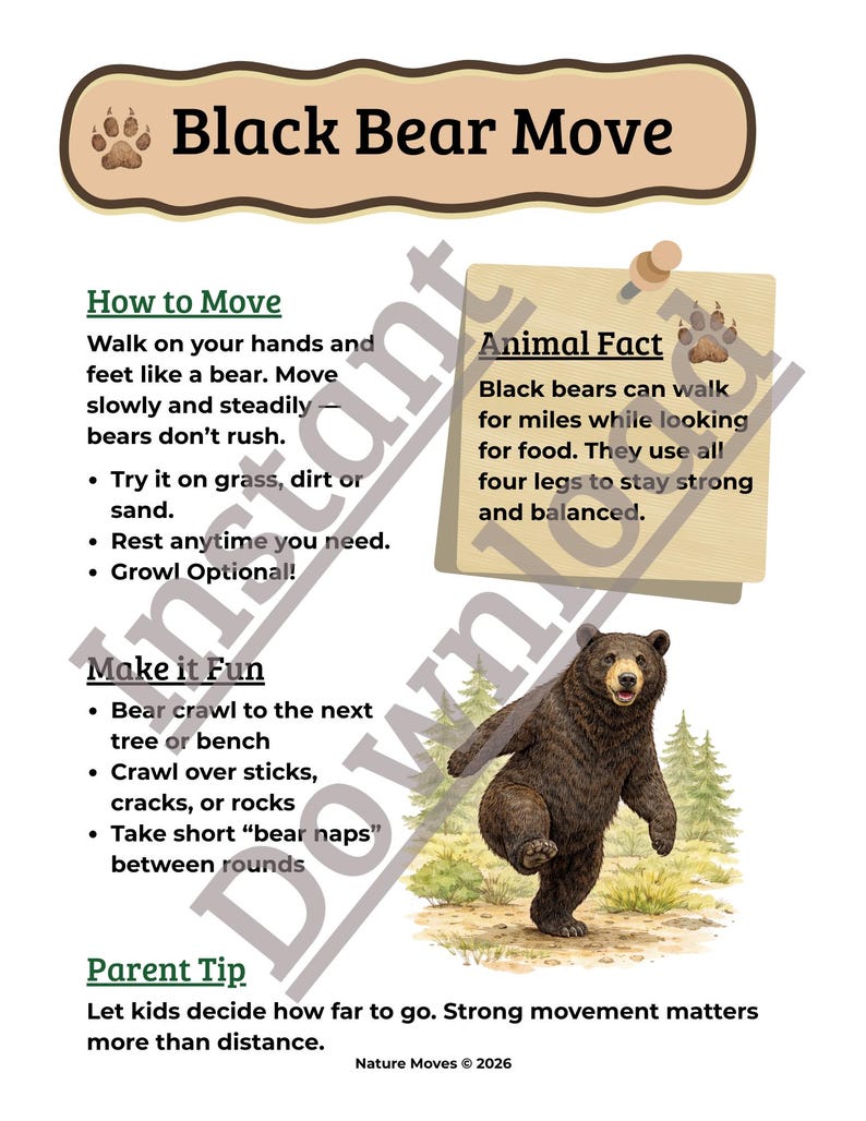 K&ouml;nnte beinhalten: Lehrreiches Poster mit dem Titel "Black Bear Move" mit Anweisungen, wie man sich wie ein B&auml;r bewegt. Enth&auml;lt eine Illustration eines Schwarzb&auml;ren, Tierfakten und Tipps f&uuml;r Eltern. Das Poster soll k&ouml;rperliche Aktivit&auml;t f&ouml;rdern.