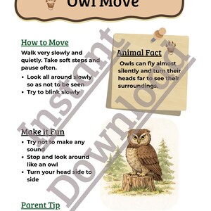 K&ouml;nnte beinhalten: Ein wei&szlig;es Lehrplakat mit dem Titel "Owl Move" mit Anweisungen zur ruhigen Bewegung. Enth&auml;lt eine Illustration einer Eule auf einem Baumstumpf und ein "Animal Fact" &uuml;ber Eulen.