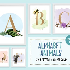 Alphabet and Number Stencils - Choose Your Characters Stencil Set Creator