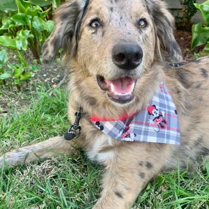 Minnie and Mickey Mouse Over the Collar Dog Bandana