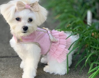 Couture Dusty Rose Glitter e Ruffle Dog Dress con Velcro e Fiocco per capelli coordinato