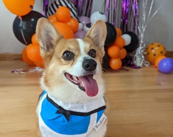 Alice Over the Collar Dog Bandana