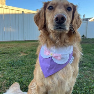 Classic Duck Over the Collar Dog Bandana