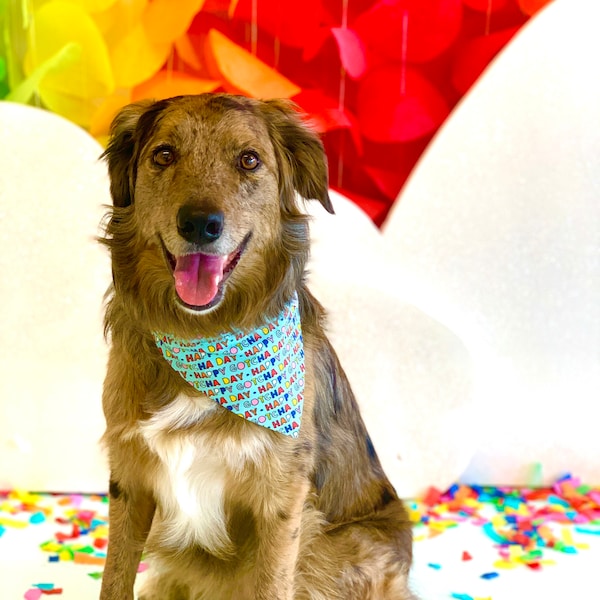 It’s My GOTCHA Day Over The Collar Dog Bandana ADOPTION