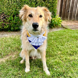 Beast Over the Collar Dog Bandana
