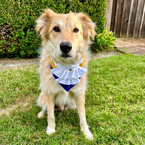 Bandana para perro Bestia sobre el collar