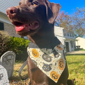 Vintage Halloween Over the Collar Dog Bandana